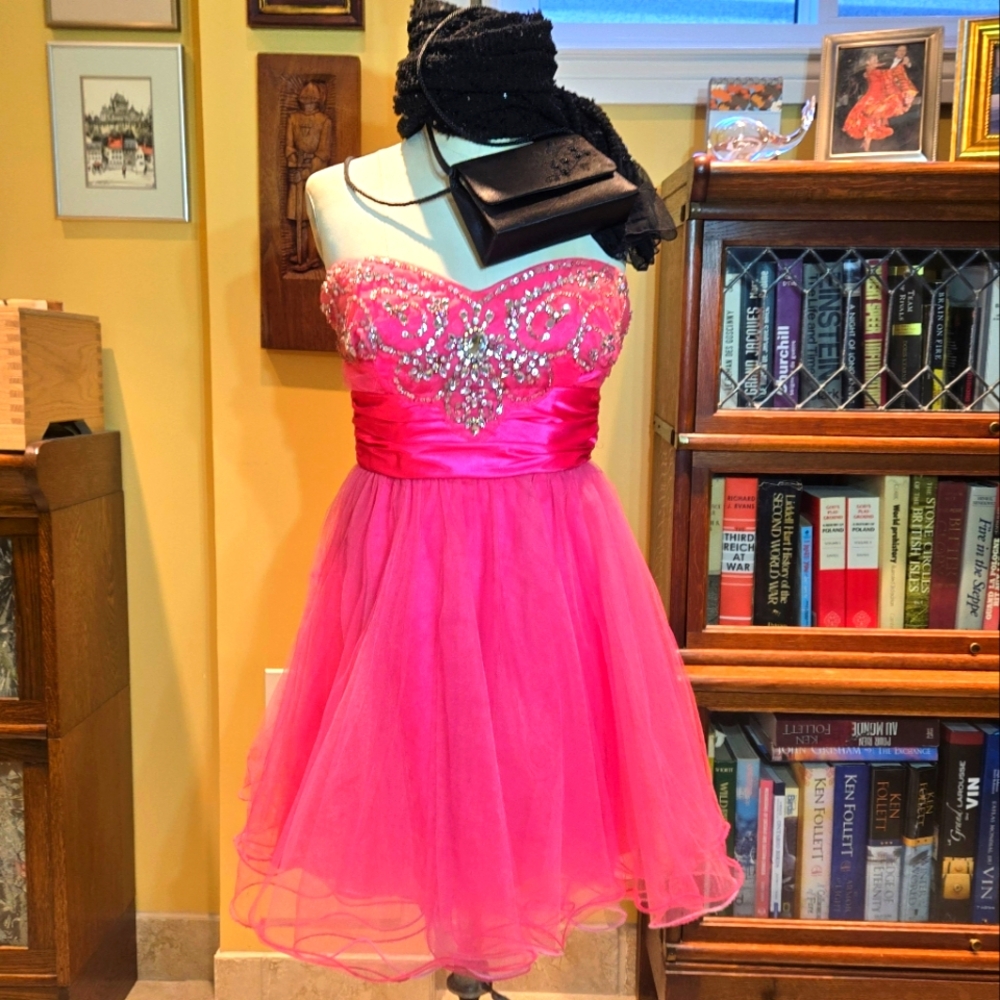 JOSH&JAZZ | Elegant Pink Strapless | BAL/PROM/QUINCEANERA Dress